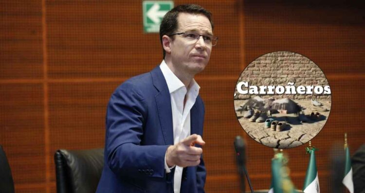 Anaya Noroña carroñeros