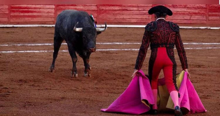 Así será la nueva era de la tauromaquia en CDMX ¿Qué cambiará?