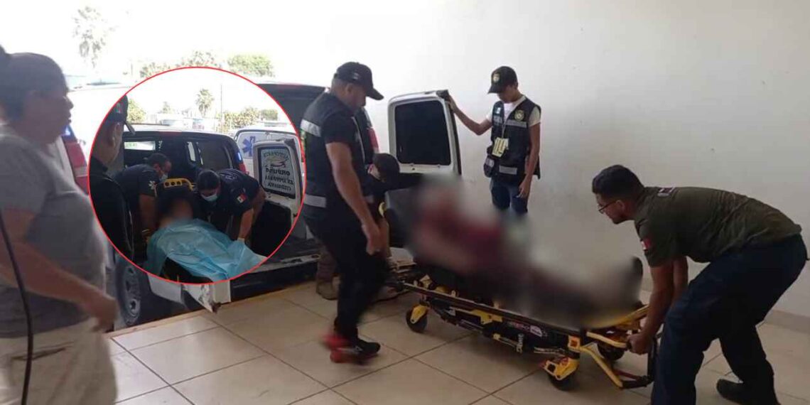 Ataque abejas Playa Bagdad