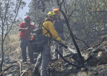 incendio forestal Mina
