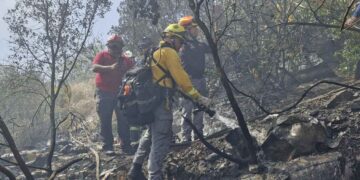 incendio forestal Mina