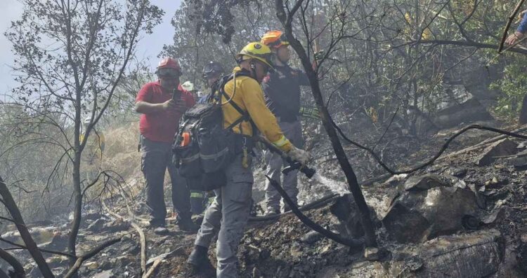 incendio forestal Mina