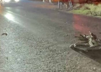 Ciclista muere atropellado en Xicoténcatl conductor se da a la fuga