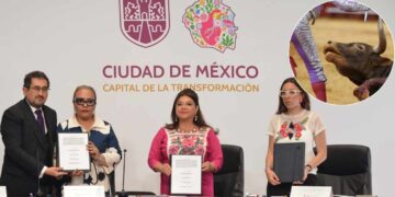 ¡Es oficial! Las corridas de toros serán sin violencia en CDMX