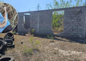 Colectivo de buscadores descubre campo de exterminio en Reynosa  