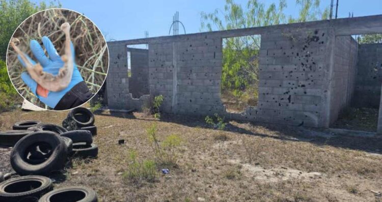 Colectivo de buscadores descubre campo de exterminio en Reynosa  