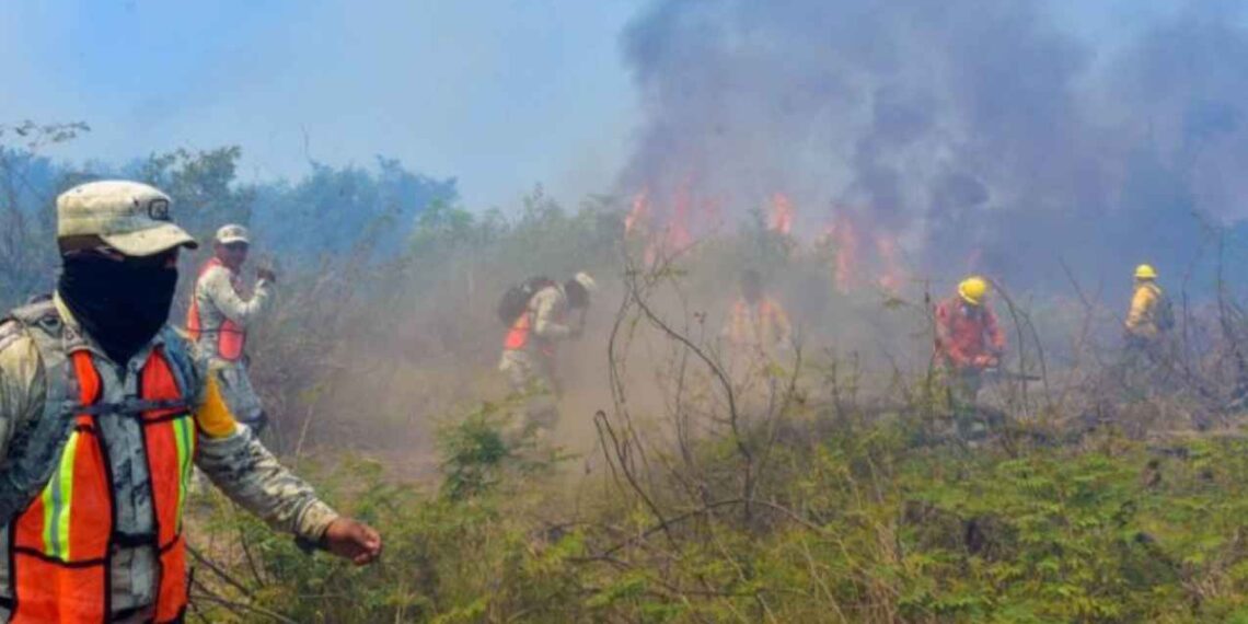 Conafor revela el mapa de los estados más afectados por incendios activos