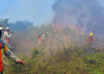 Conafor revela el mapa de los estados más afectados por incendios activos