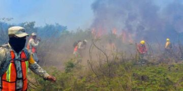 Conafor revela el mapa de los estados más afectados por incendios activos