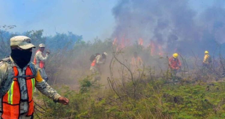 Conafor revela el mapa de los estados más afectados por incendios activos