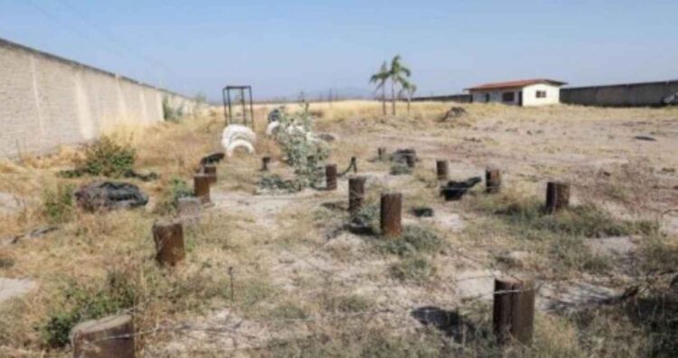 Crematorio clandestino en Teuchitlán ¿Un vínculo con la desaparición de jóvenes en Lagos de Moreno