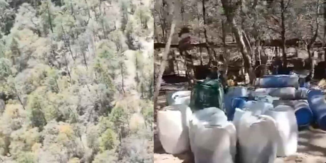 Desmantelan laboratorio clandestino presuntamente vinculado a ‘Los Chapitos’ en Zacatecas