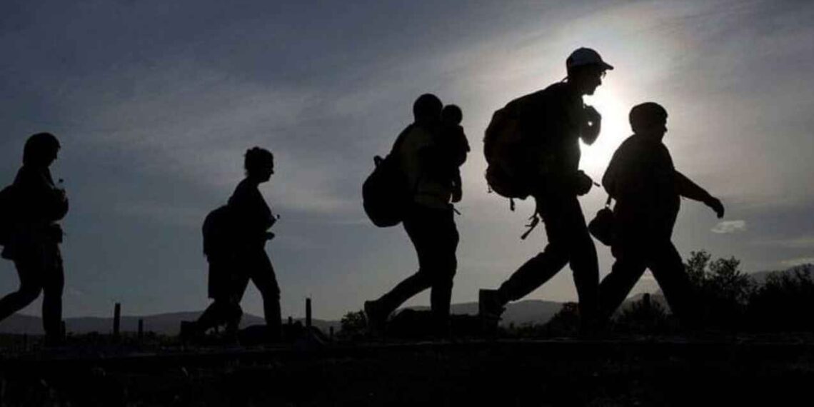 Detención de migrantes en la frontera sur de Estados Unidos disminuye un 94% en febrero: CBP