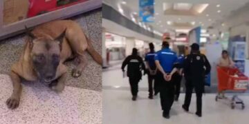 Arrestan a tres guardias por supuesto maltrato a perro en Juárez