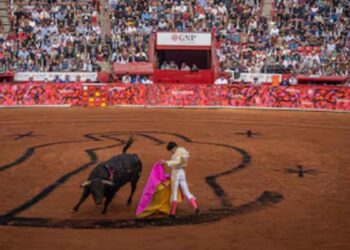 Diputados del Congreso de la Ciudad de México aprueban las corridas de toros sin violencia