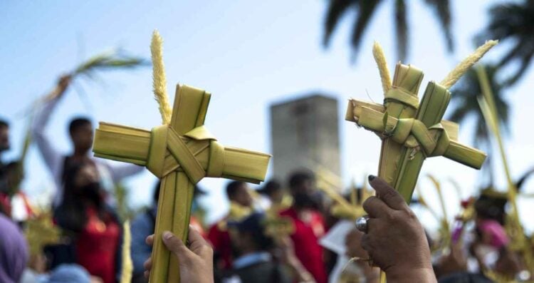 _Domingo de Ramos significado