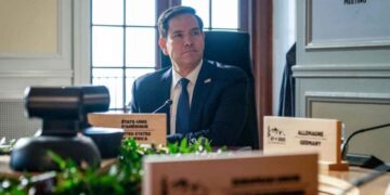Rubio cooperación México