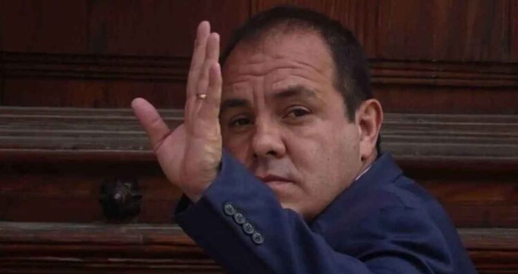 diputado verde Blanco