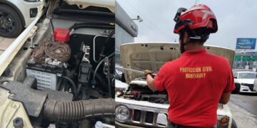 Encuentran víbora dentro del motor de un vehículo en Monterrey, NL