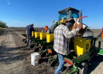 Falta de lluvias y fuertes vientos agravan la sequía en Matamoros