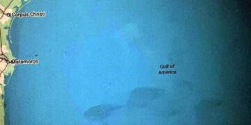 demanda Google Golfo de México