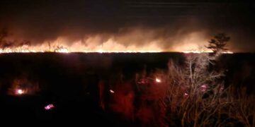 Guardia Estatal activa Plan Tamaulipas en Jiménez, Tamaulipas por incendio forestal