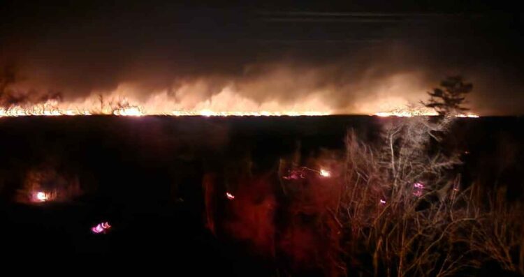 Guardia Estatal activa Plan Tamaulipas en Jiménez, Tamaulipas por incendio forestal