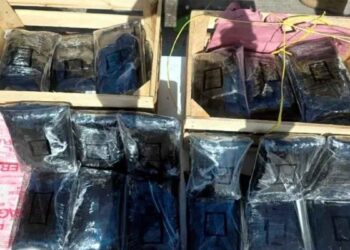 Hallan 275 mil pastillas de fentanilo entre un cargamento de nopales en Huatabampo, Sonora