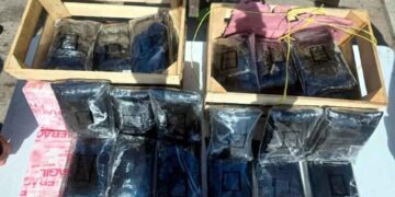 Hallan 275 mil pastillas de fentanilo entre un cargamento de nopales en Huatabampo, Sonora