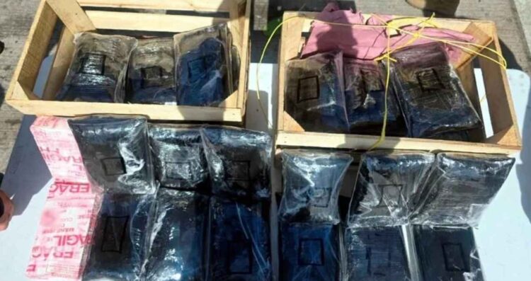 Hallan 275 mil pastillas de fentanilo entre un cargamento de nopales en Huatabampo, Sonora