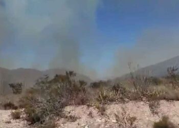 Incendio consume cerro Saltillo