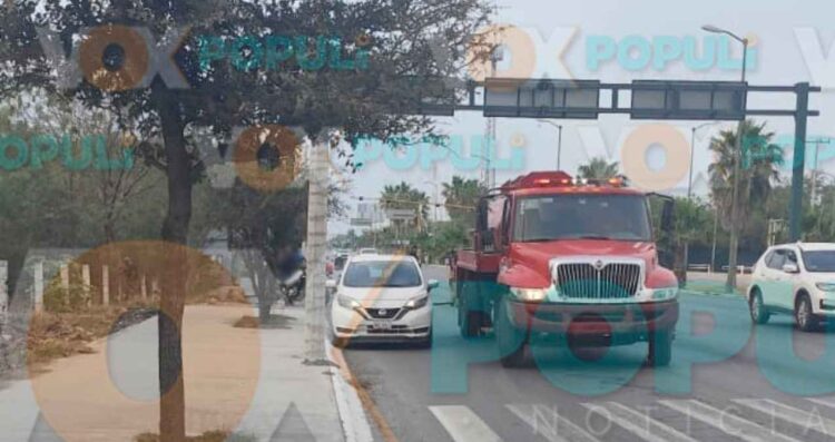 incendio pastizal Victoria