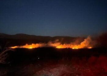 Incendio forestal Miquihuana Tamaulipas