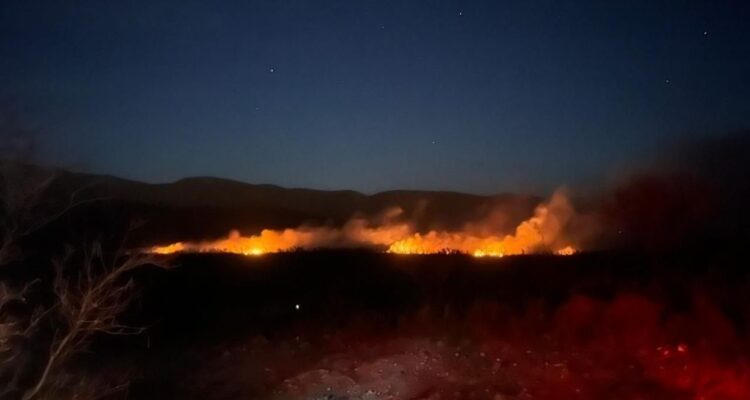Incendio forestal Miquihuana Tamaulipas