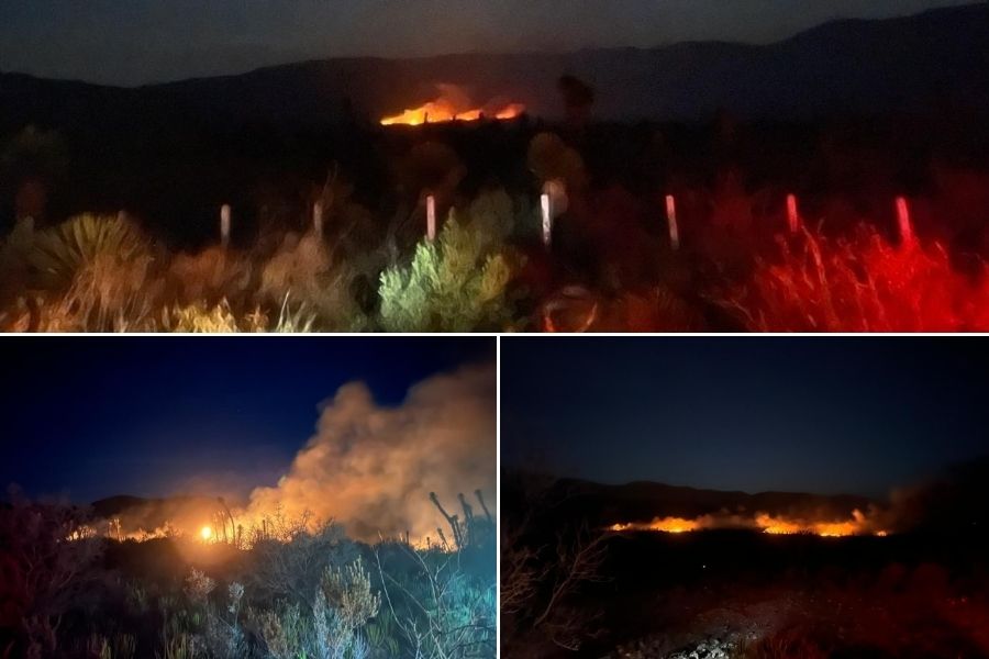 Incendio forestal Miquihuana Tamaulipas