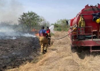 Incendios en aumento en Victoria: Protección Civil emite alerta