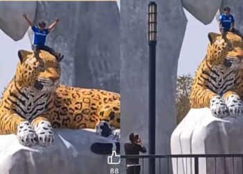 Joven escala estatua del Jaguar en Gómez Farías y desata indignación