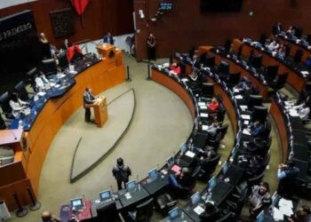 Jóvenes Construyendo el Futuro constitucional