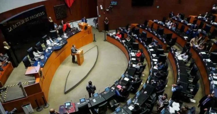 Jóvenes Construyendo el Futuro constitucional