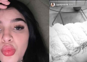 Karely Ruiz preocupa a sus seguidores tras revelar problemas de salud