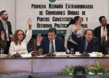 Cámara de Diputados nepotismo