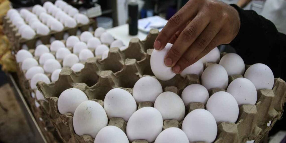 La crisis por gripe aviar en EU impulsa las importaciones de huevo desde México