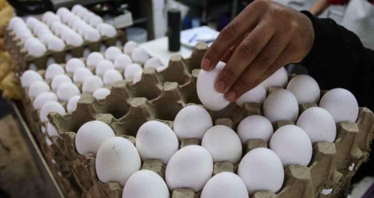 La crisis por gripe aviar en EU impulsa las importaciones de huevo desde México