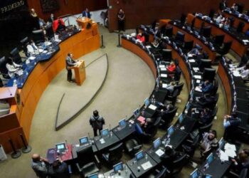 Diputados reforma nepotismo