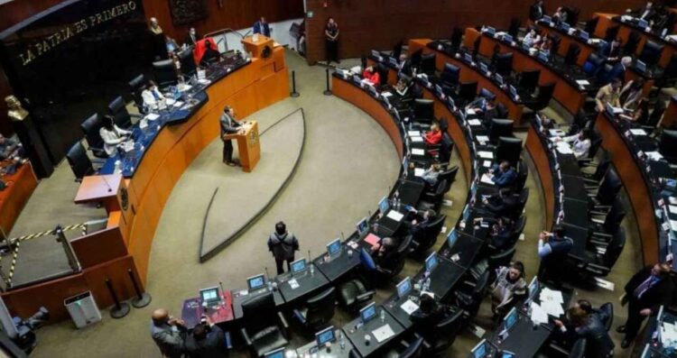 Diputados reforma nepotismo