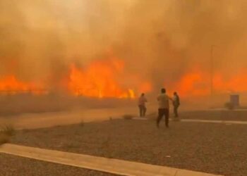 ¿Cuántos incendios se registraron en Nuevo León? Calidad de Aire