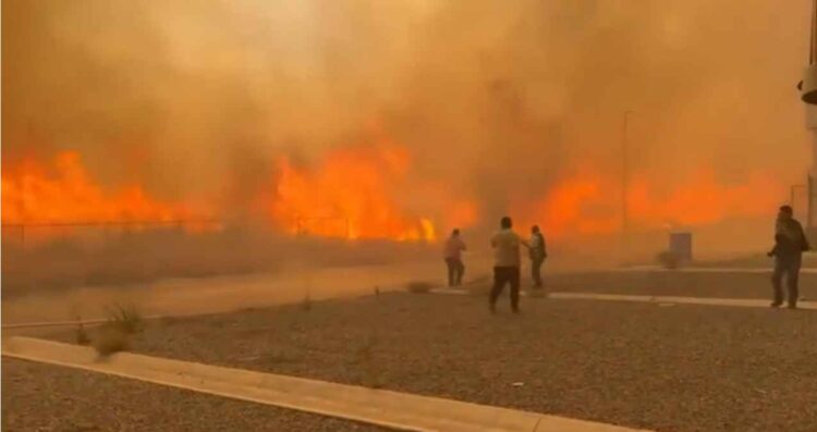 ¿Cuántos incendios se registraron en Nuevo León? Calidad de Aire