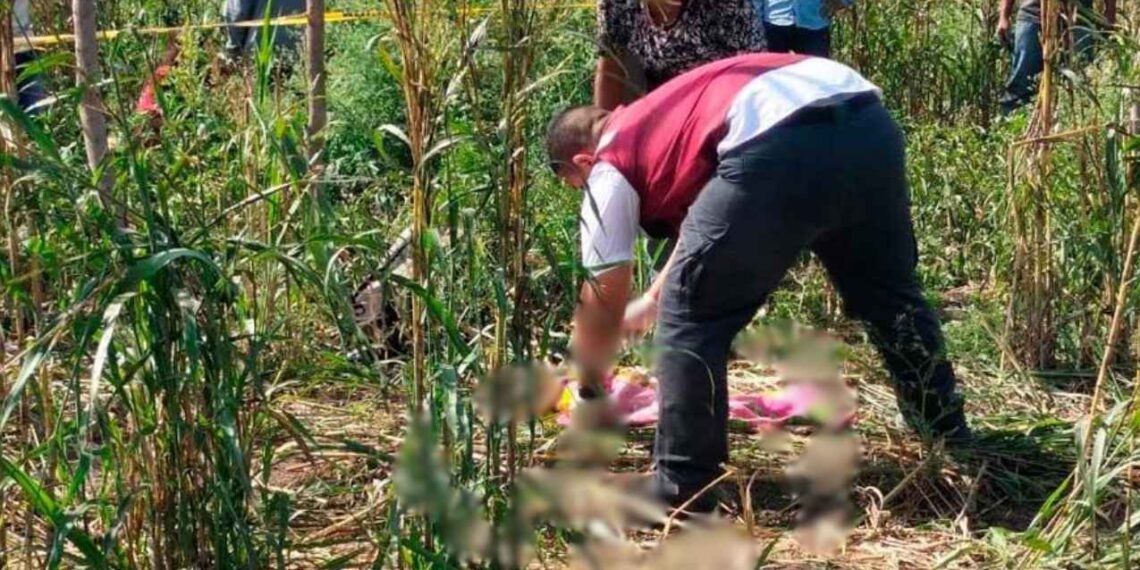Menor muere atropellada González