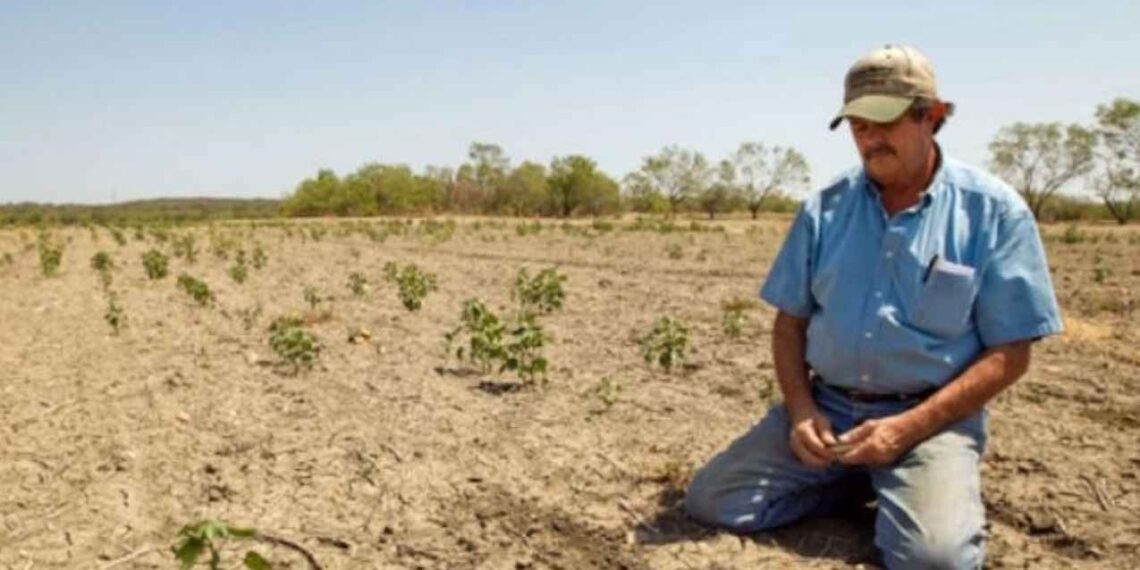 Jornaleros pueden solicitar pensión en Estados Unidos