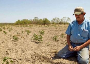 Jornaleros pueden solicitar pensión en Estados Unidos